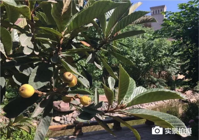 1547780673112017.jpg 640.webp (17).jpg