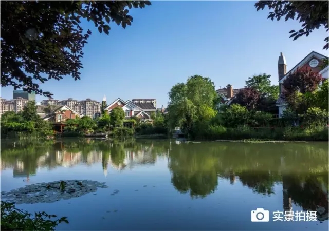 1547780998179848.jpg 640.webp (23).jpg