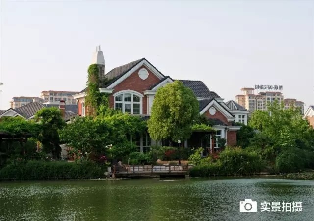 1547781021620250.jpg 640.webp (25).jpg