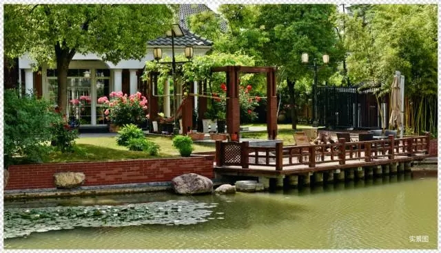 1547781420118274.jpg 640.webp (28).jpg