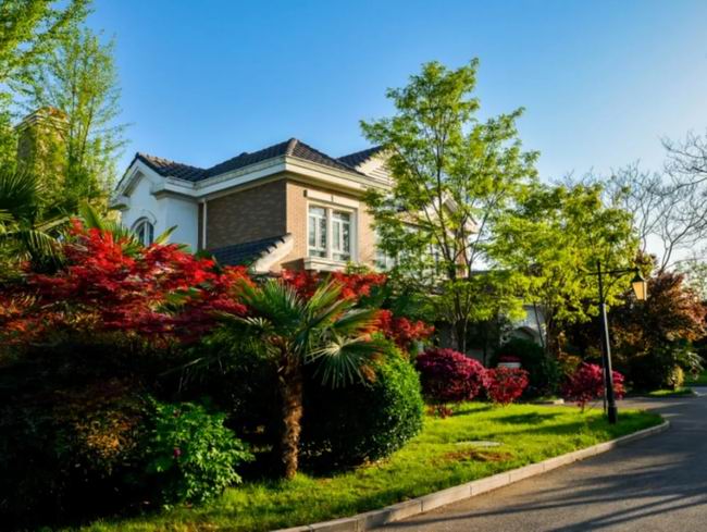 1548233929606618.jpg 640.webp (36).jpg