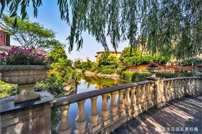 1548235148495994.jpg 640.webp (2).jpg