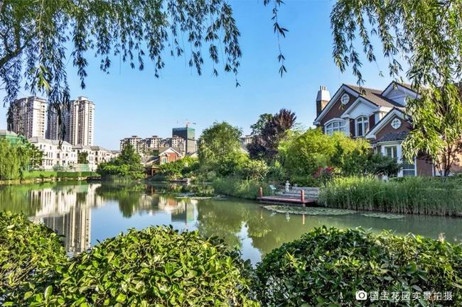 1548235169109577.jpg 640.webp (5).jpg