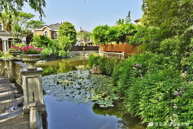 1548235177165135.jpg 640.webp (6).jpg