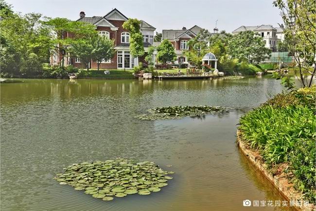 1548235204278865.jpg 640.webp (9).jpg