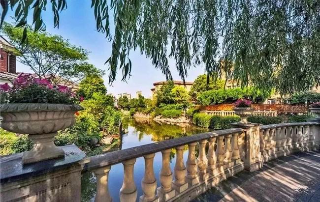 1548313800156113.jpg 640.webp (33).jpg