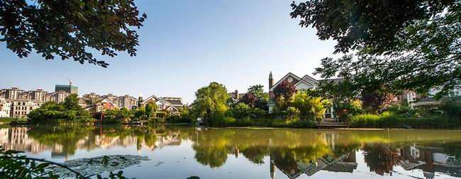 1548314029148317.jpg 640.webp (41).jpg