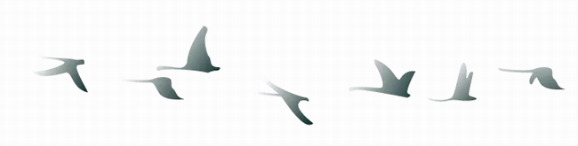 1551085626891094.png 1.png