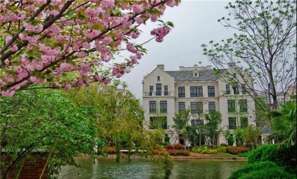 1585876708109814.jpg 洛陽(yáng)最美的春天竟藏在這里3.jpg