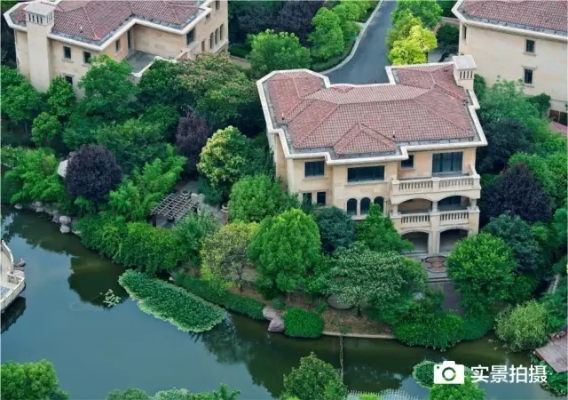 藏在樹(shù)里的墅